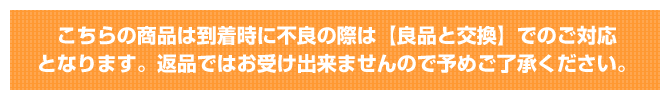 初期不良時交換対応のみ