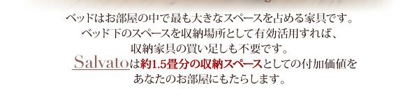 約1.5畳分の収納スペースとしての付加価値