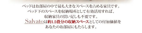 約1.5畳分の収納スペースとしての付加価値