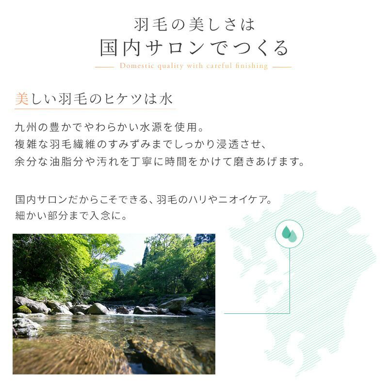 羽毛の美しさは国内サロンでつくる