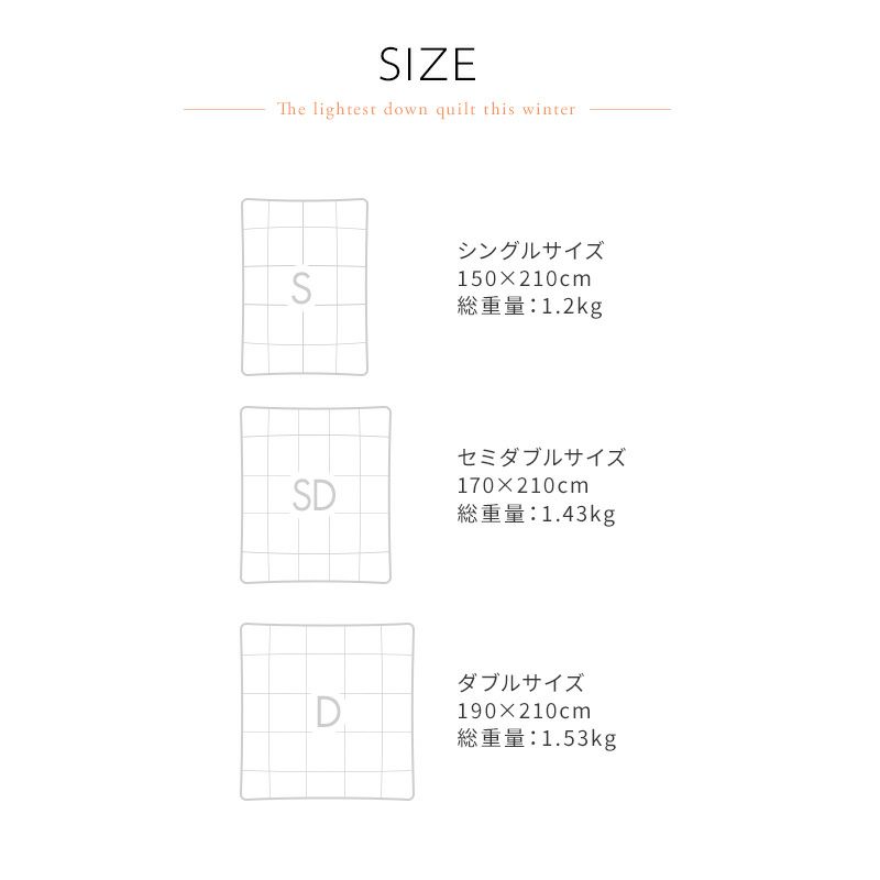 サイズ